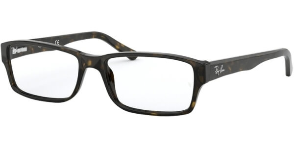 Dioptrické brýle Ray-Ban® model 5169, barva obruby hnědá lesk, stranice hnědá lesk, kód barevné varianty 2012. 