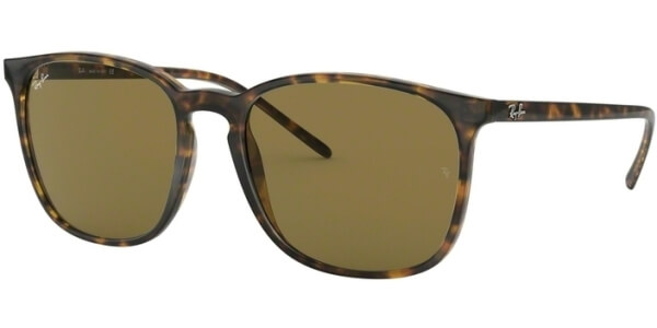 Sluneční brýle Ray-Ban® model 4387, barva obruby hnědá lesk, čočka hnědá, kód barevné varianty 71073. 